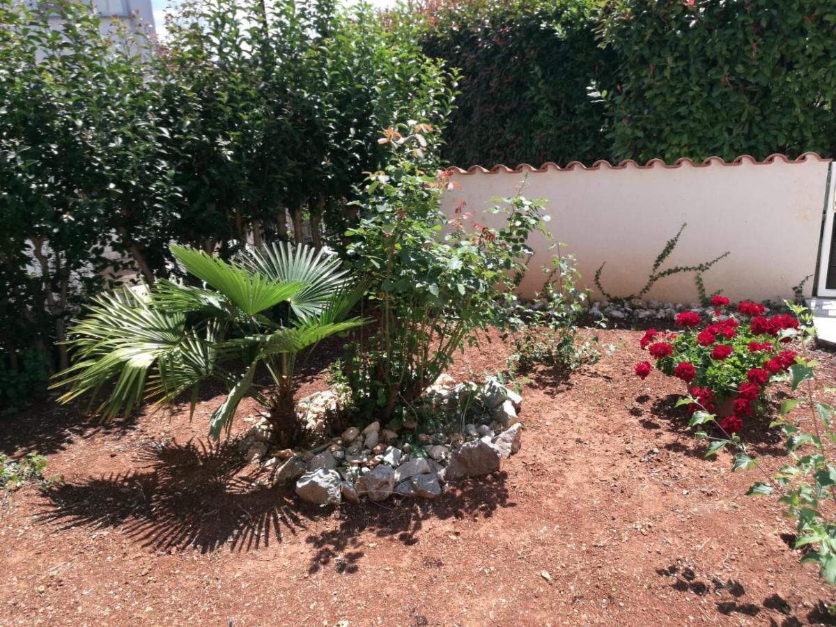 Ferienhaus Bozena Appartment 6 Vrsar Kültér fotó